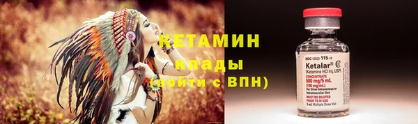 шишки Абаза