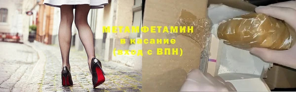 шишки Абаза