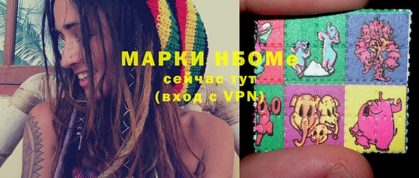 шишки Абаза