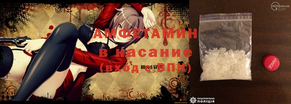 шишки Абаза