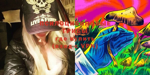 шишки Абаза