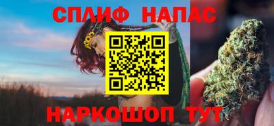 гидропоника Гусиноозёрск