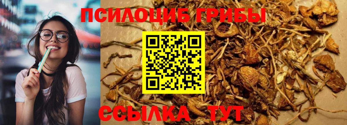 Скопин  Галлюциногенные грибы MAGIC MUSHROOMS  Вход с VPN 