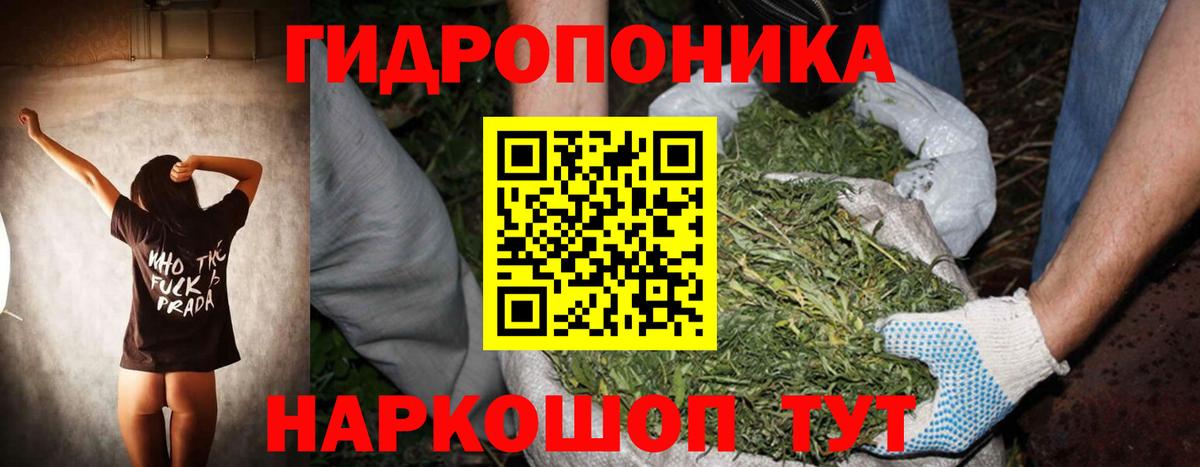 Бошки марихуана сатива  Вход с VPN  Марихуана марихуана  Скопин 